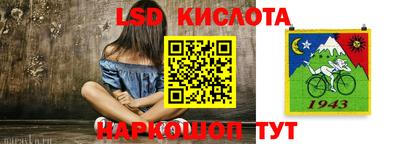 стафф Донецк
