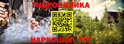 стафф Донецк