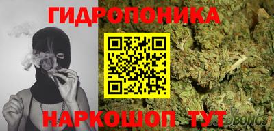 герыч Дубна