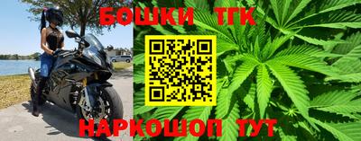 стафф Донецк