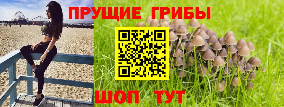 Псилоцибиновые грибы Magic Shrooms Карпинск