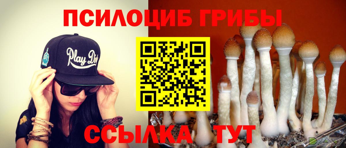 Карпинск  Галлюциногенные грибы ЛСД  Вход с VPN  Псилоцибиновые грибы Magic Shrooms 